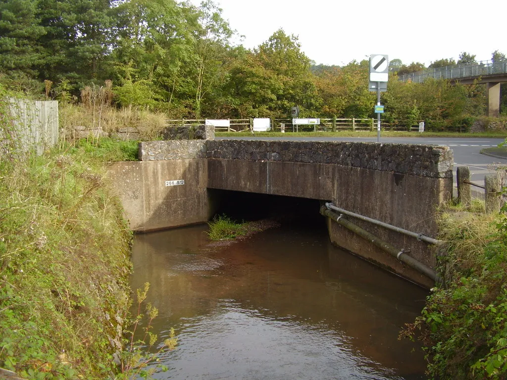 Photo showing: A tributary of the Alphin Brook