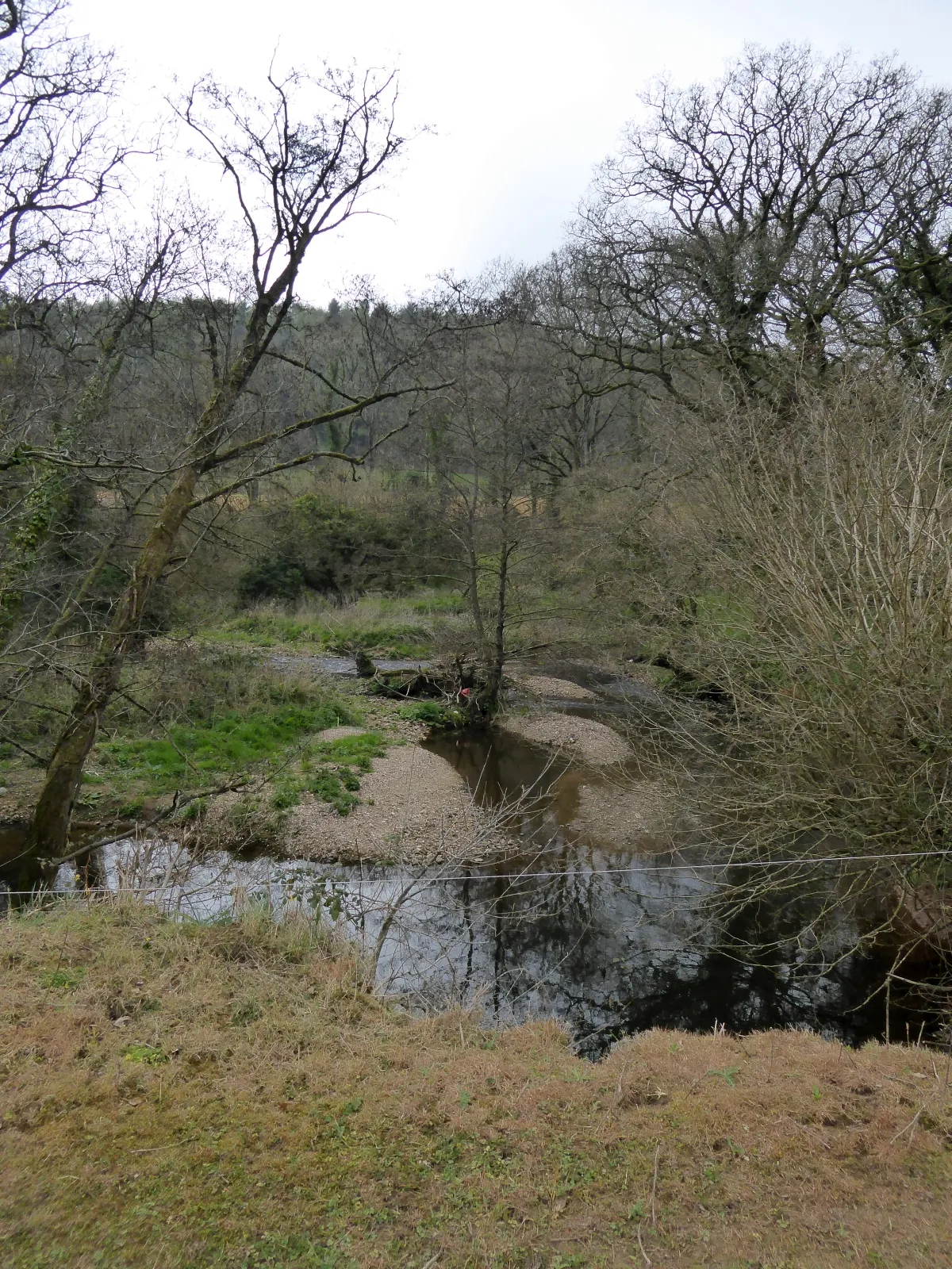 Photo showing: A slightly braided stream: the River Coly