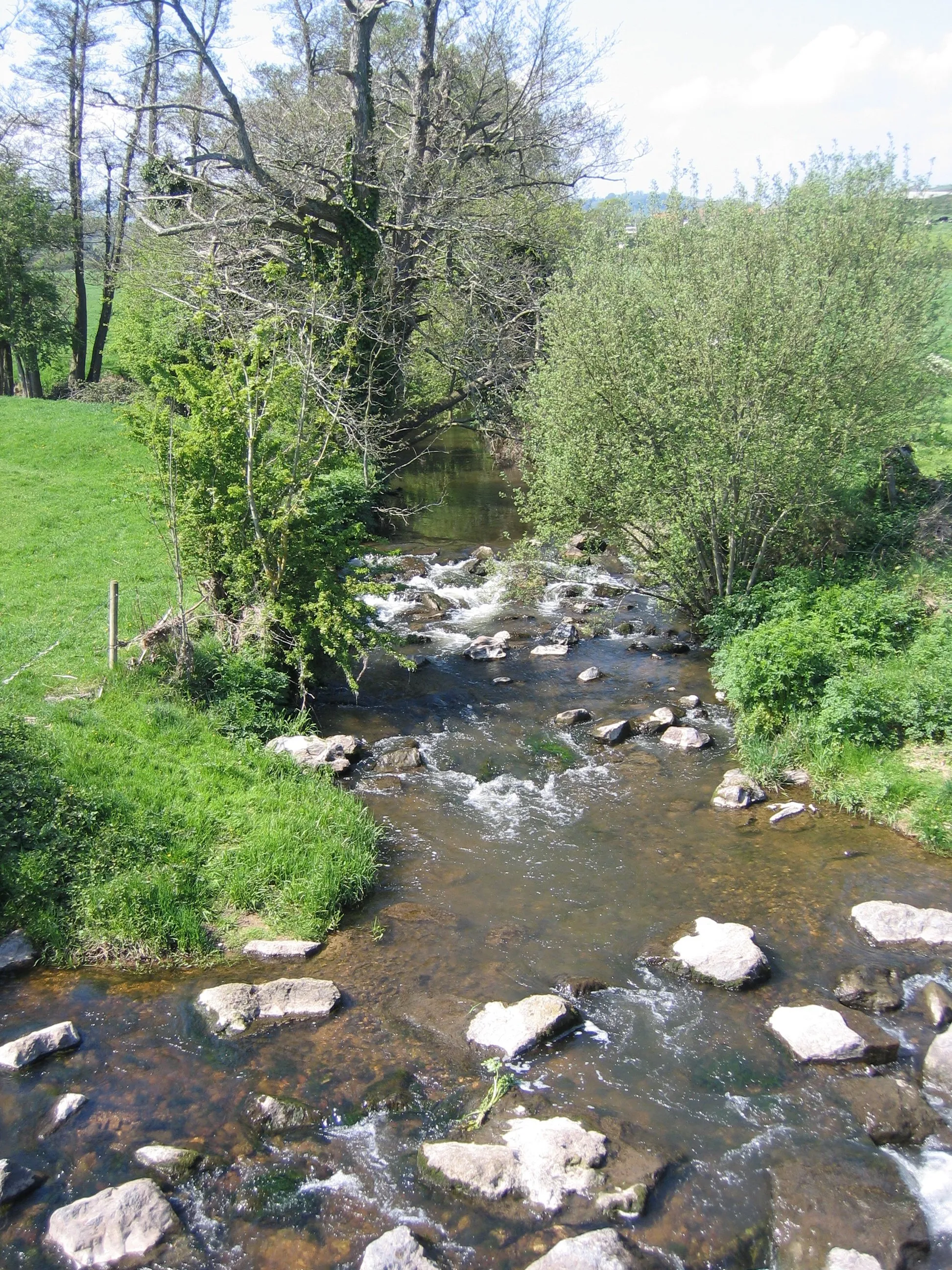 Photo showing: Umborne Brook, Colyton View of Umborne Brook where it joins the River Coly at Colyton, Devon