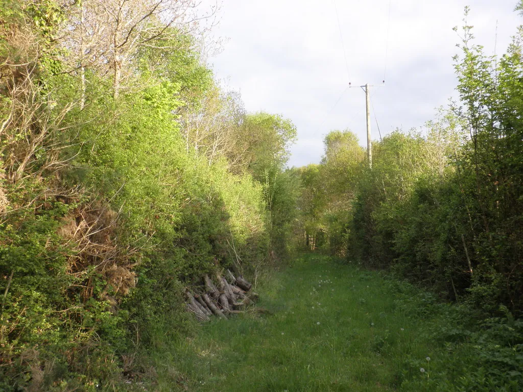 Photo showing: Abandoned railway trackbed, at Leigh Cross
