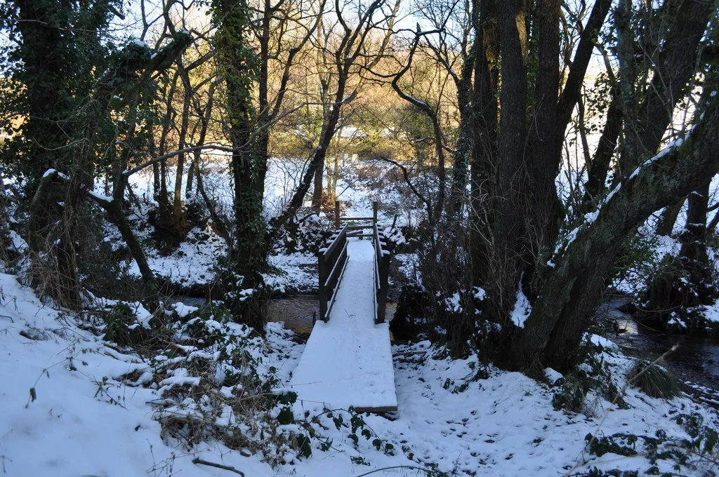 Photo showing: A footbridge over Colam Stream near Upcott Farm