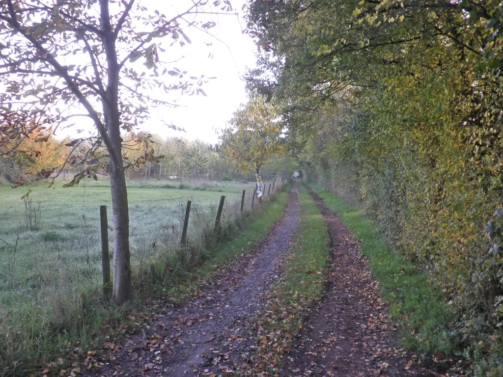 Photo showing: Access track, East Nynehead