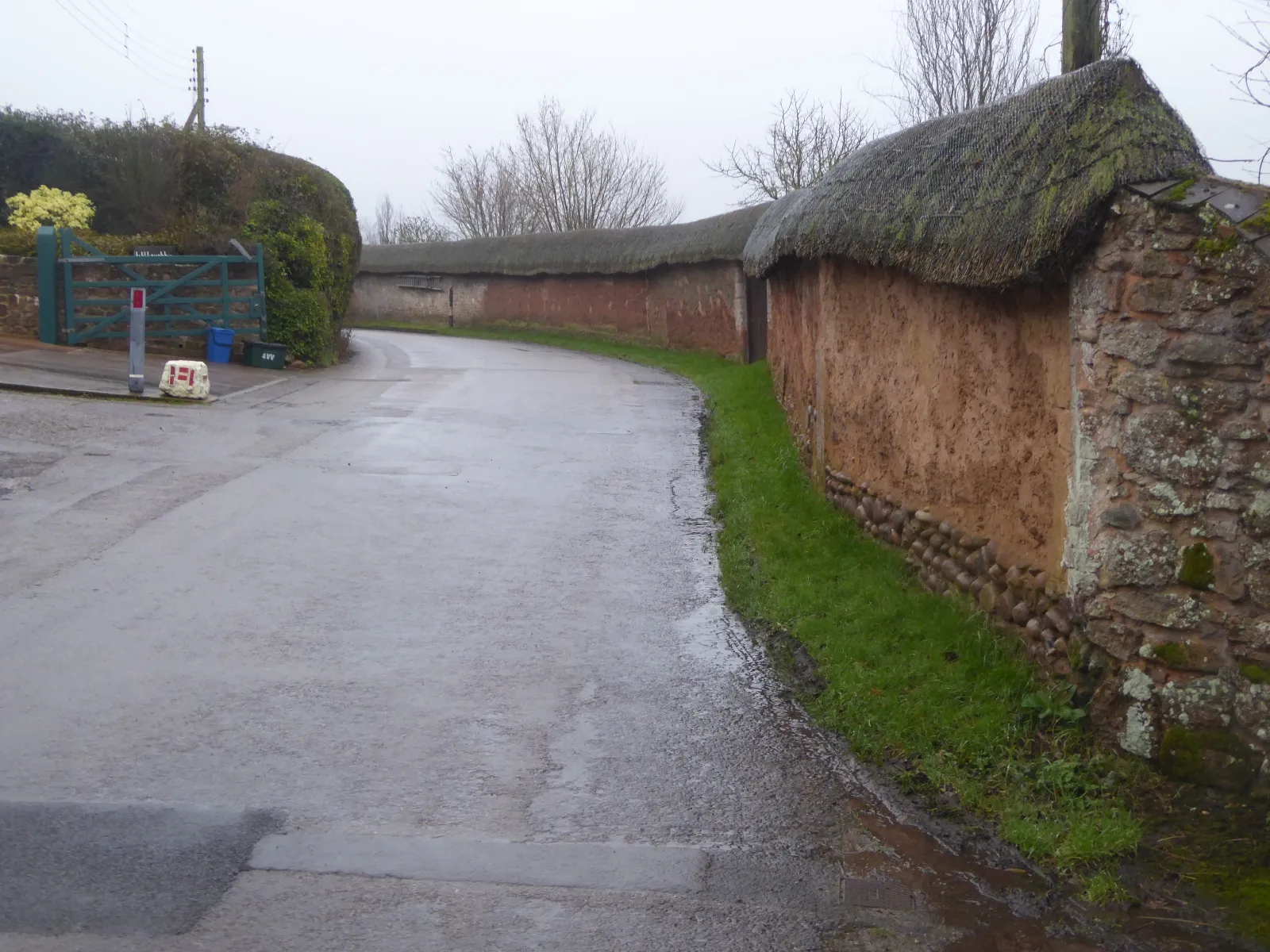 Photo showing: The thatched cob wall of Place Court, Colaton Raleigh