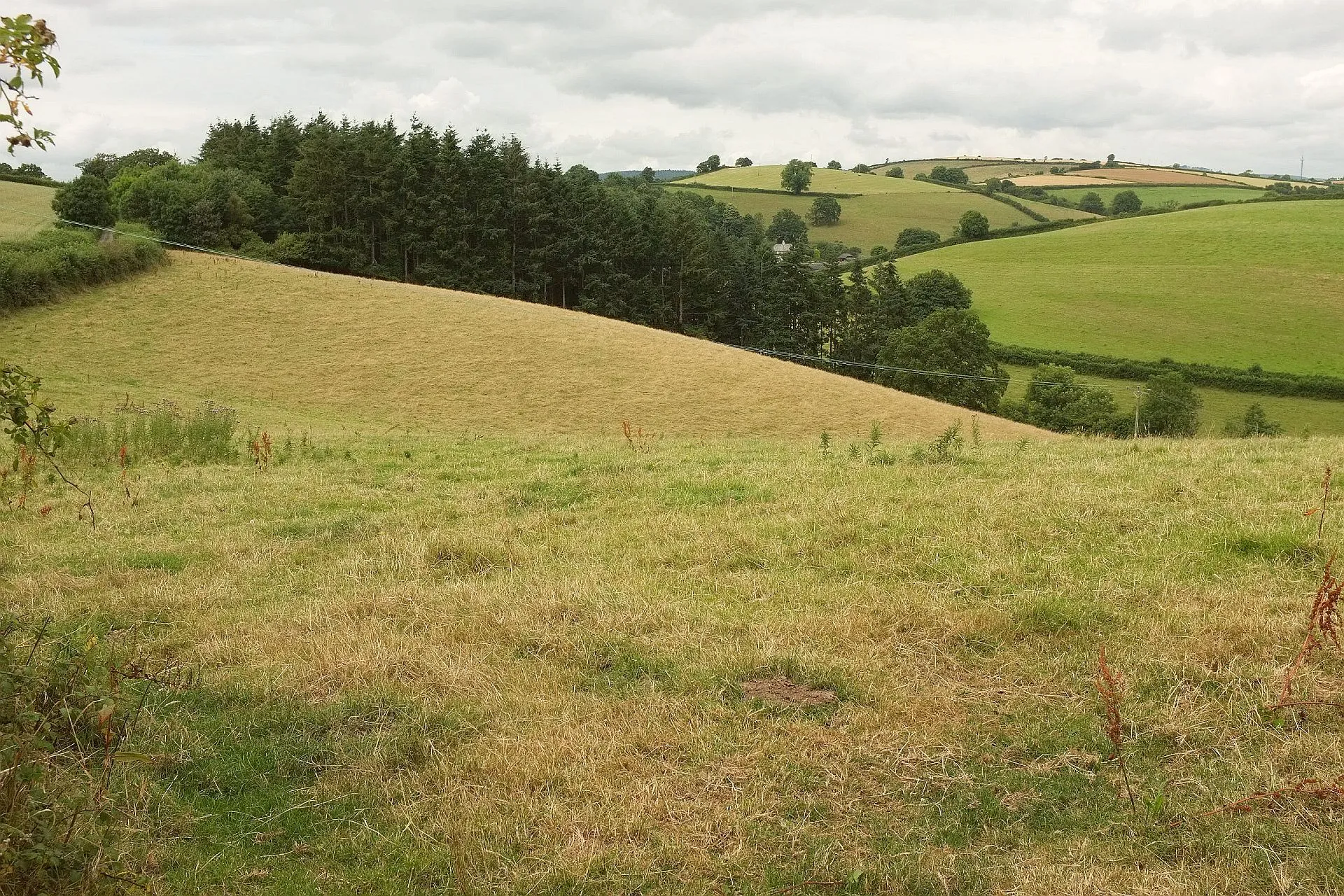 Photo showing: View above Lower Combe