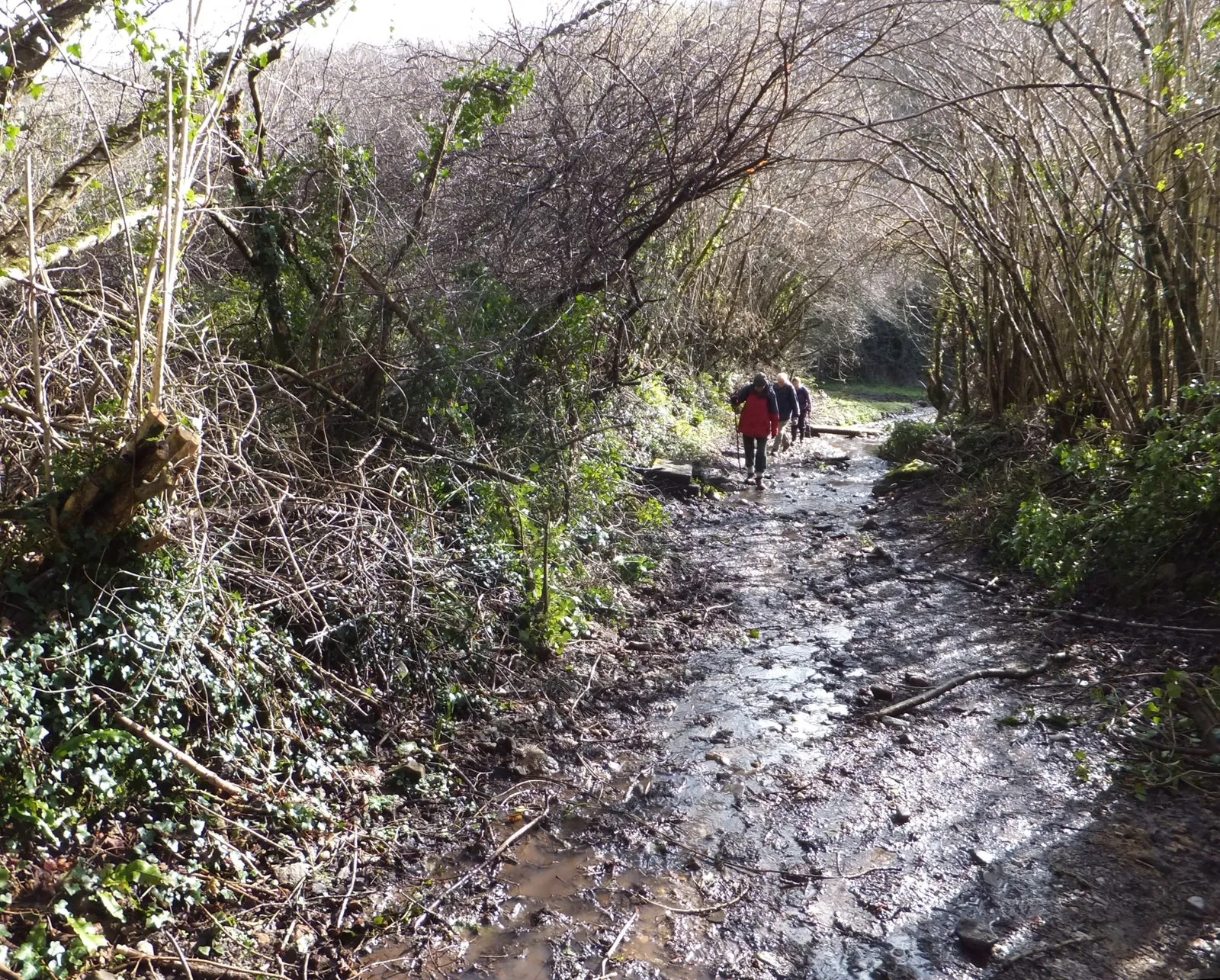 Photo showing: A bridleway or stream near Olchard