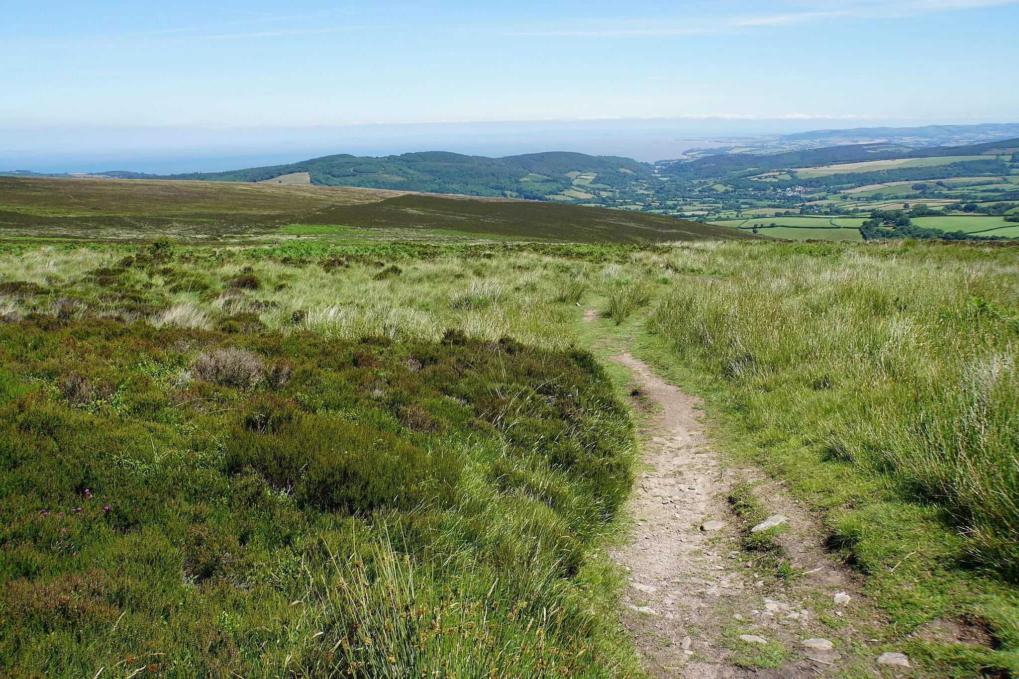 Photo showing: Bridleway off Dunkery Hill