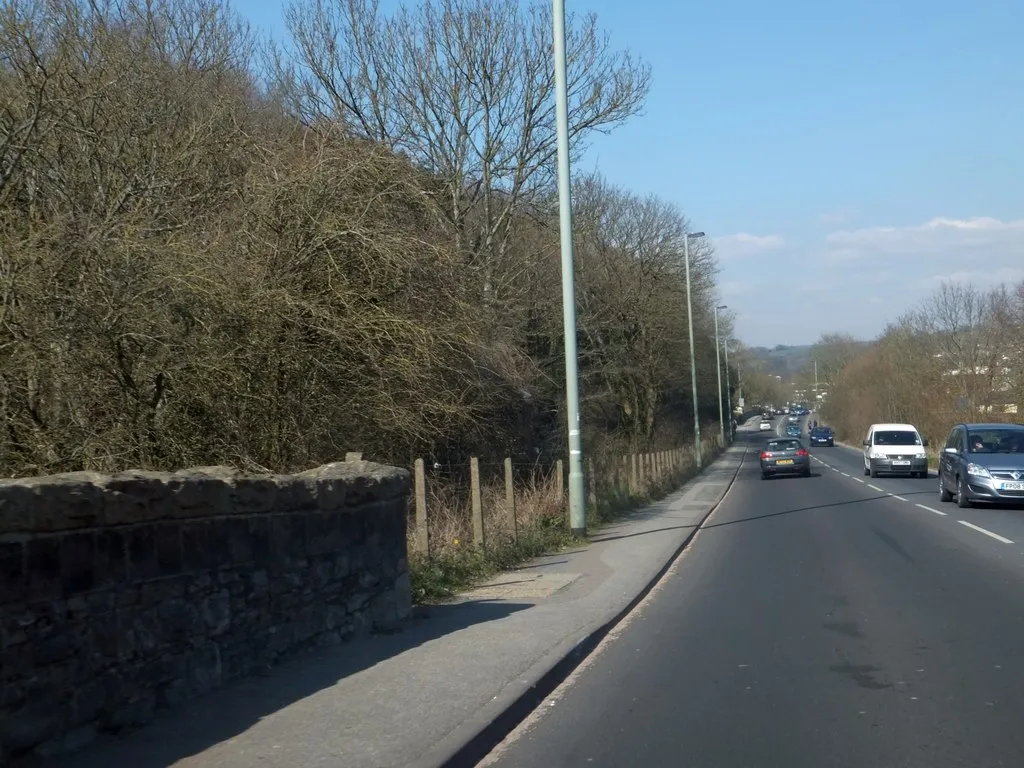 Photo showing: A383 passing East Gold Marshes