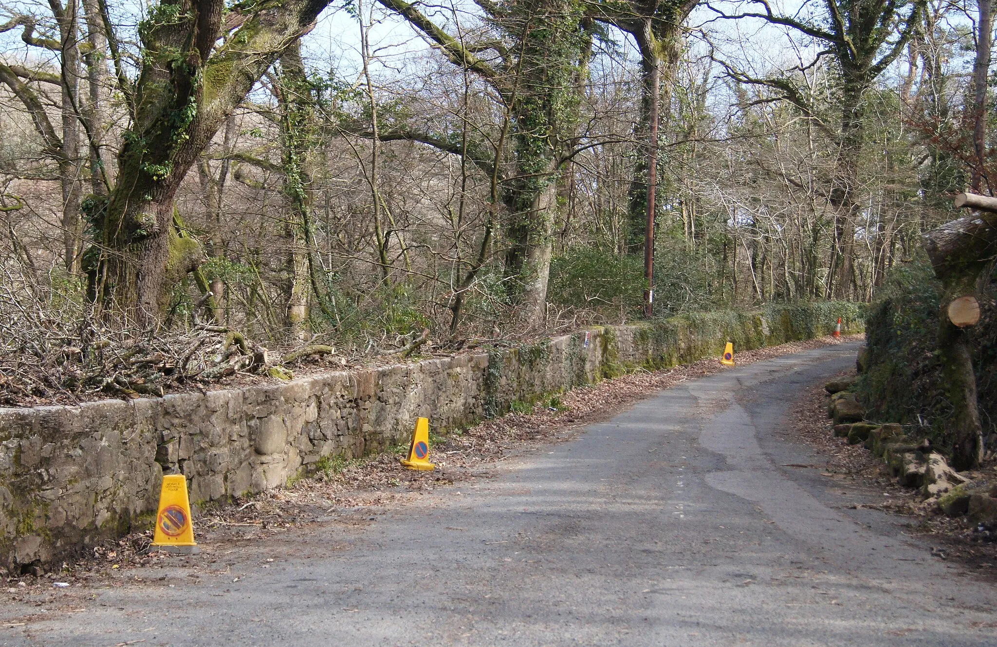 Photo showing: Access for River Dart Country Park