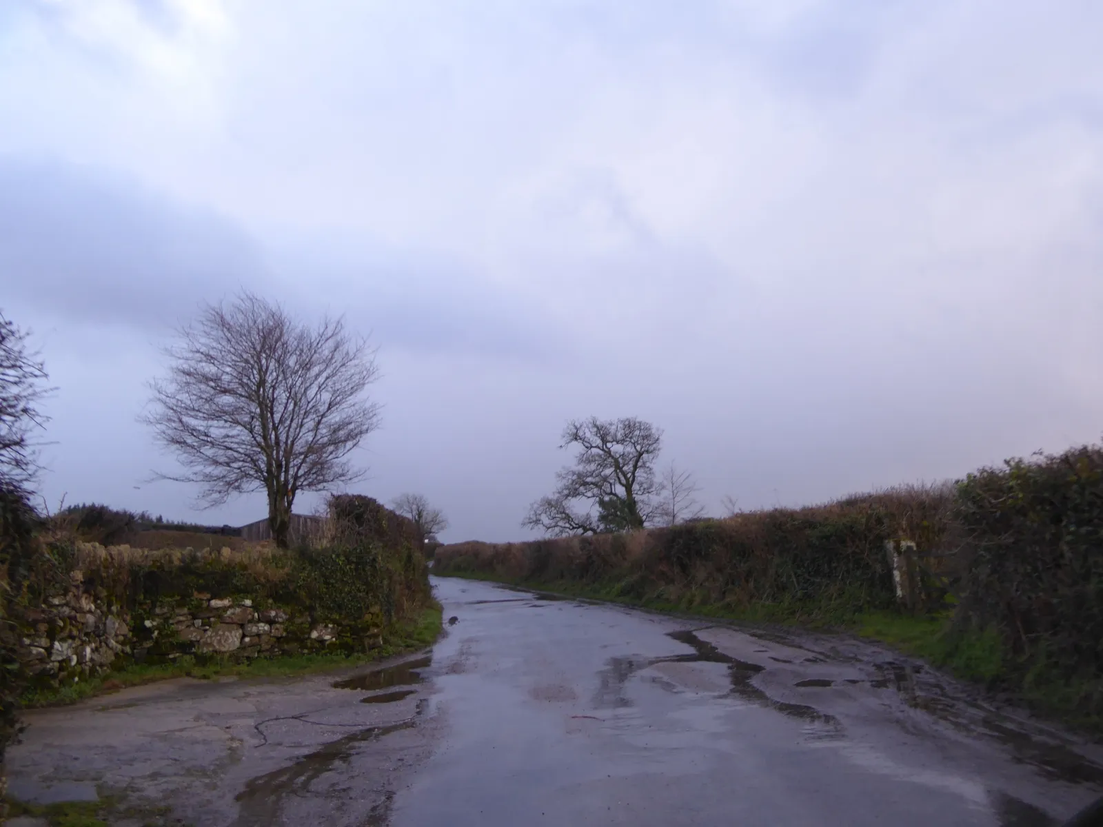 Photo showing: A wet day at Higher Pudsham