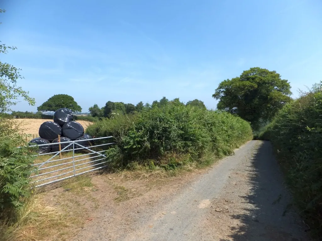 Photo showing: Bales above Higher Crockham Farm