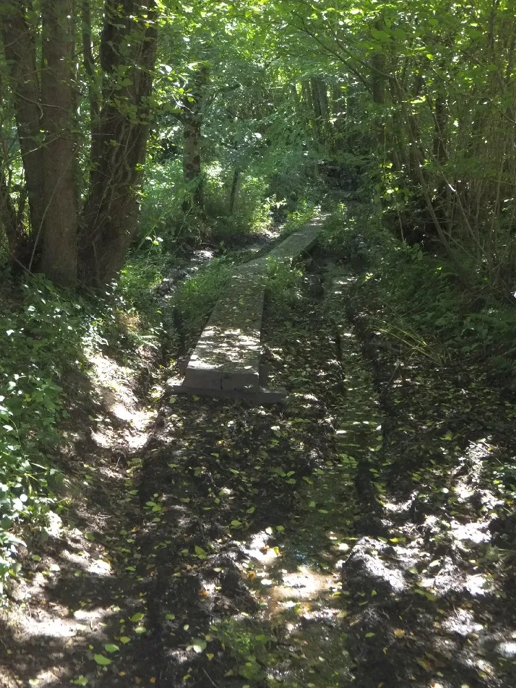 Photo showing: Boards through mud on path to Farley