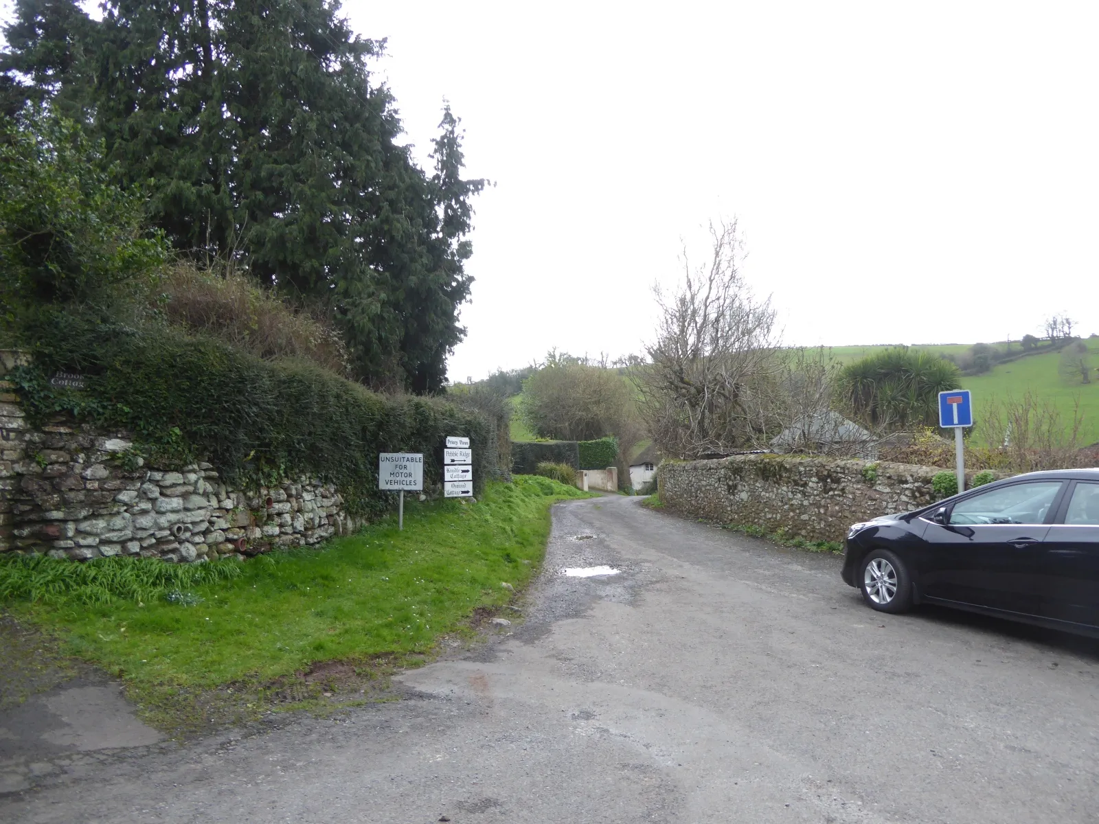 Photo showing: Access road to houses in Coffinswell