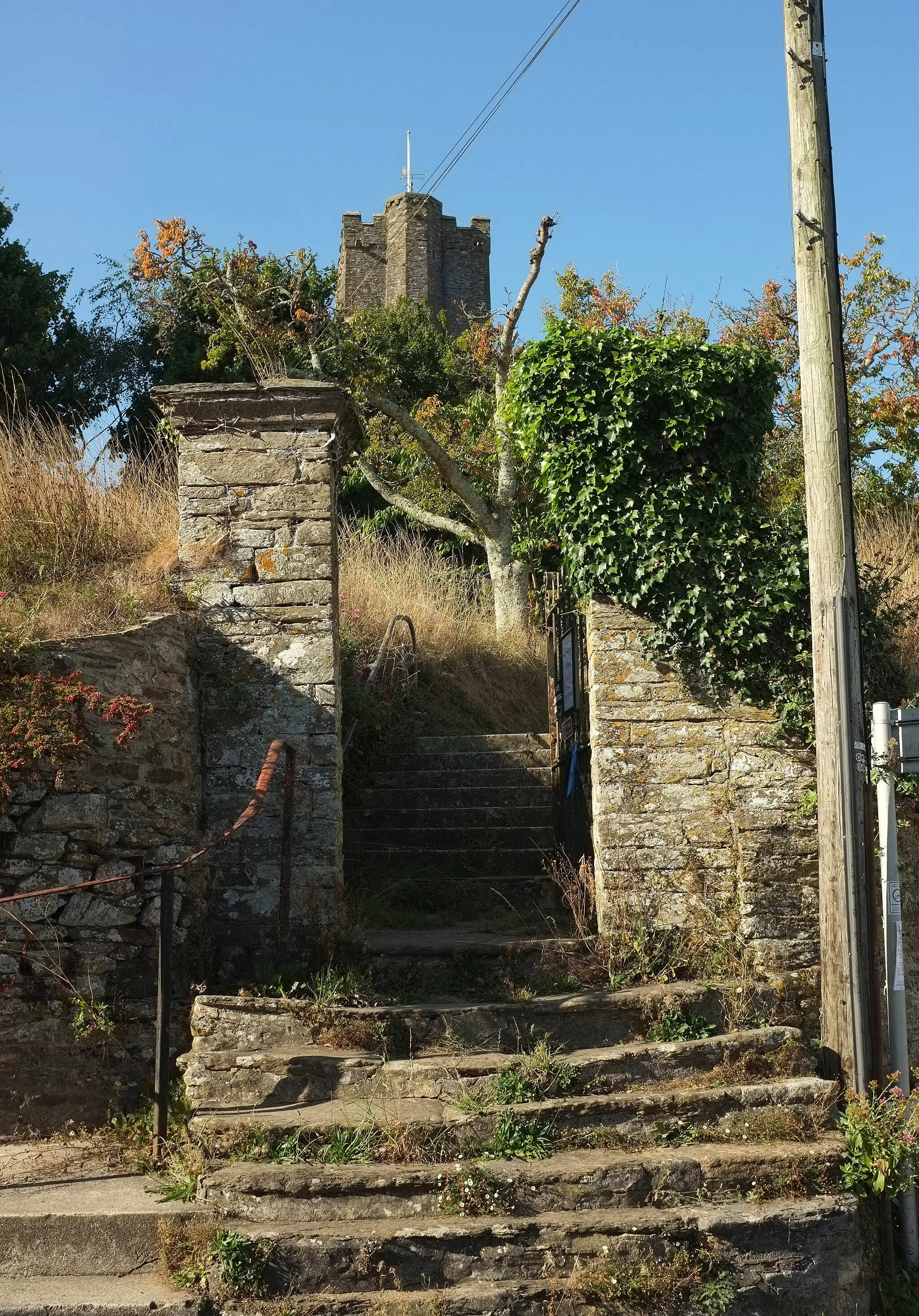 Photo showing: Churchyard steps, Blackawton