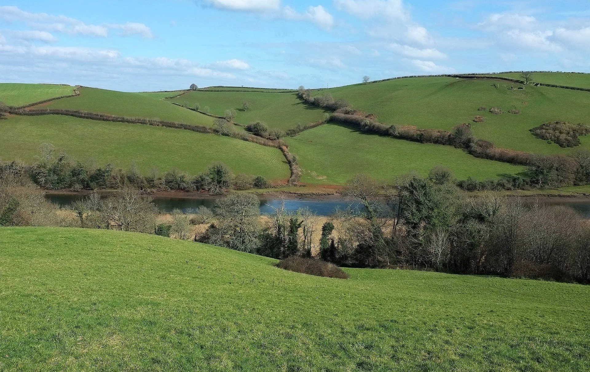Photo showing: Across the Dart from Sharpham Drive