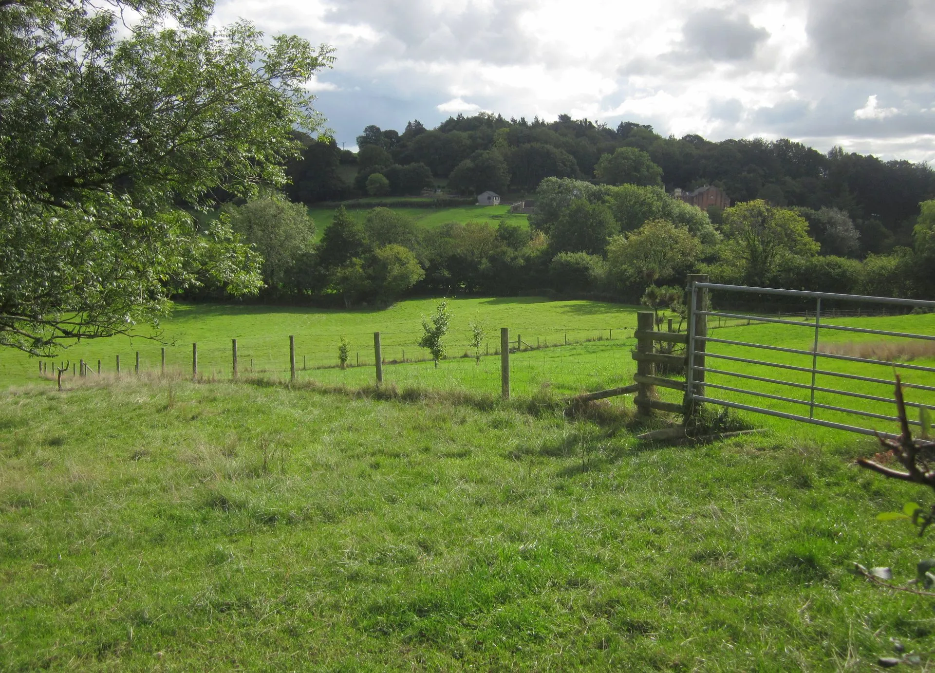 Photo showing: Am Brook valley