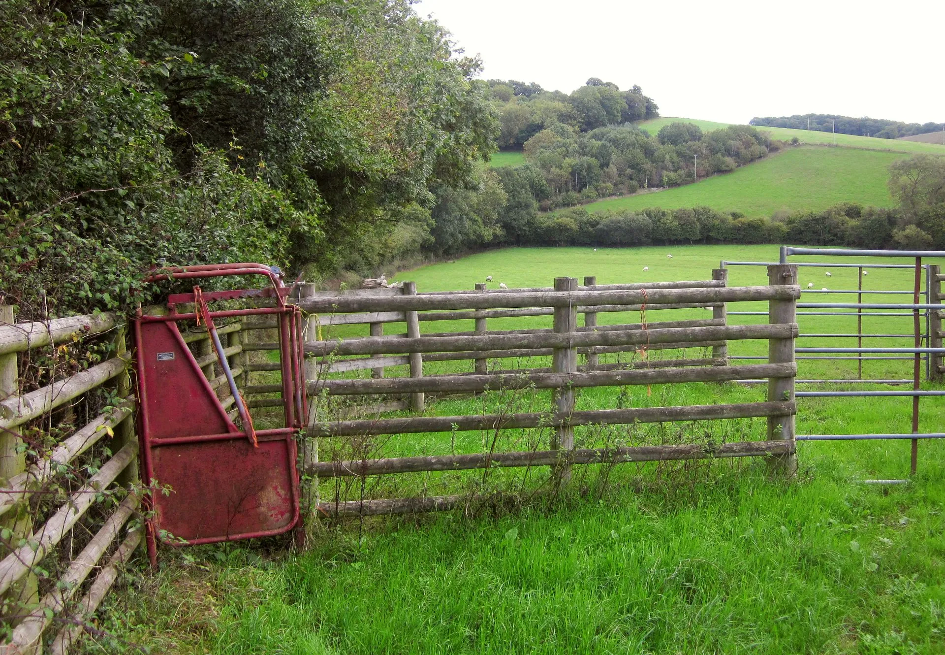 Photo showing: Am Brook valley