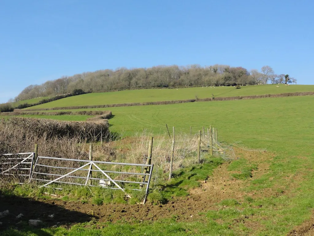 Photo showing: Denbury Down