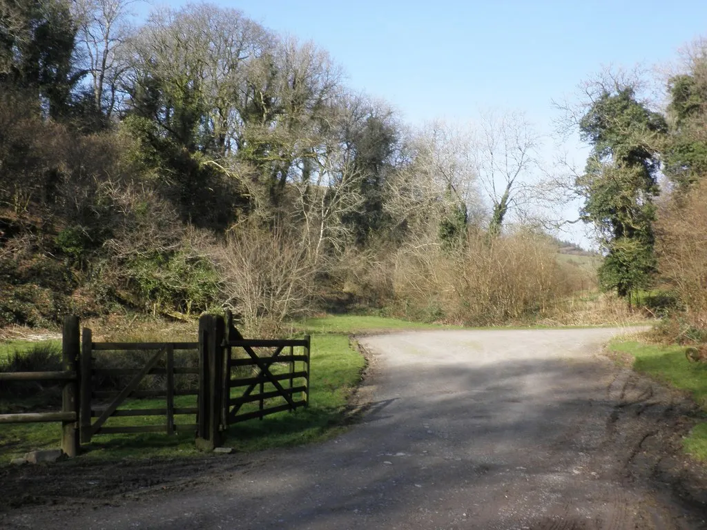 Photo showing: Access road, Beere Wood