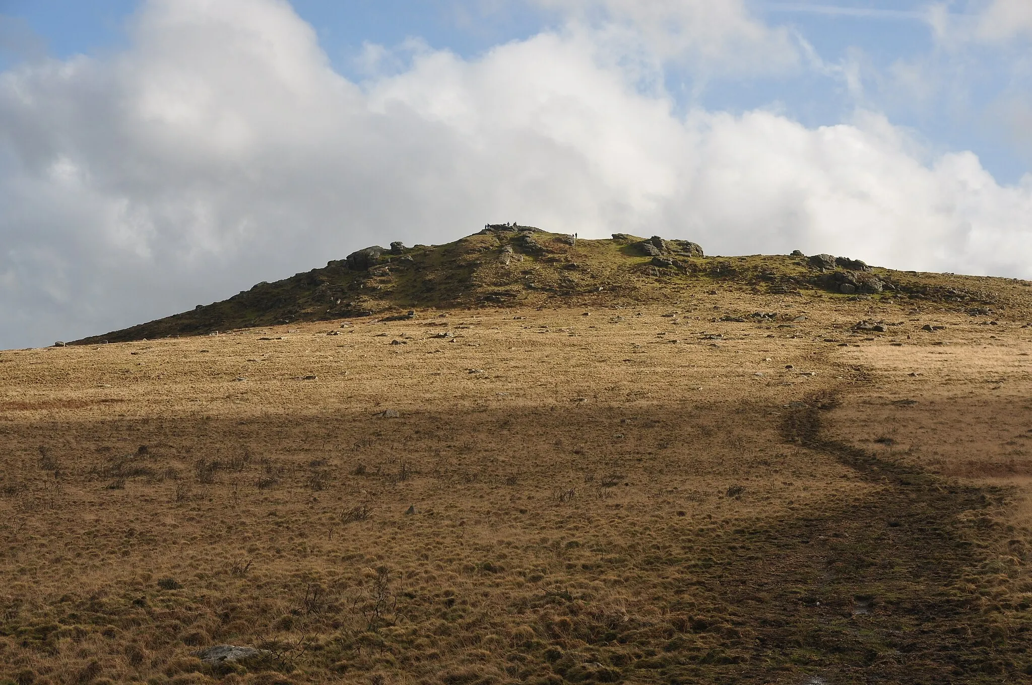 Photo showing: Rippon Tor