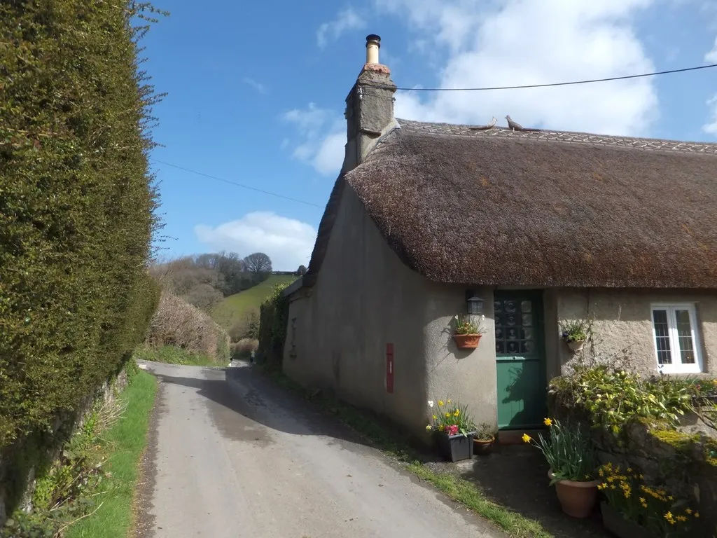 Photo showing: Thatch in Sigford