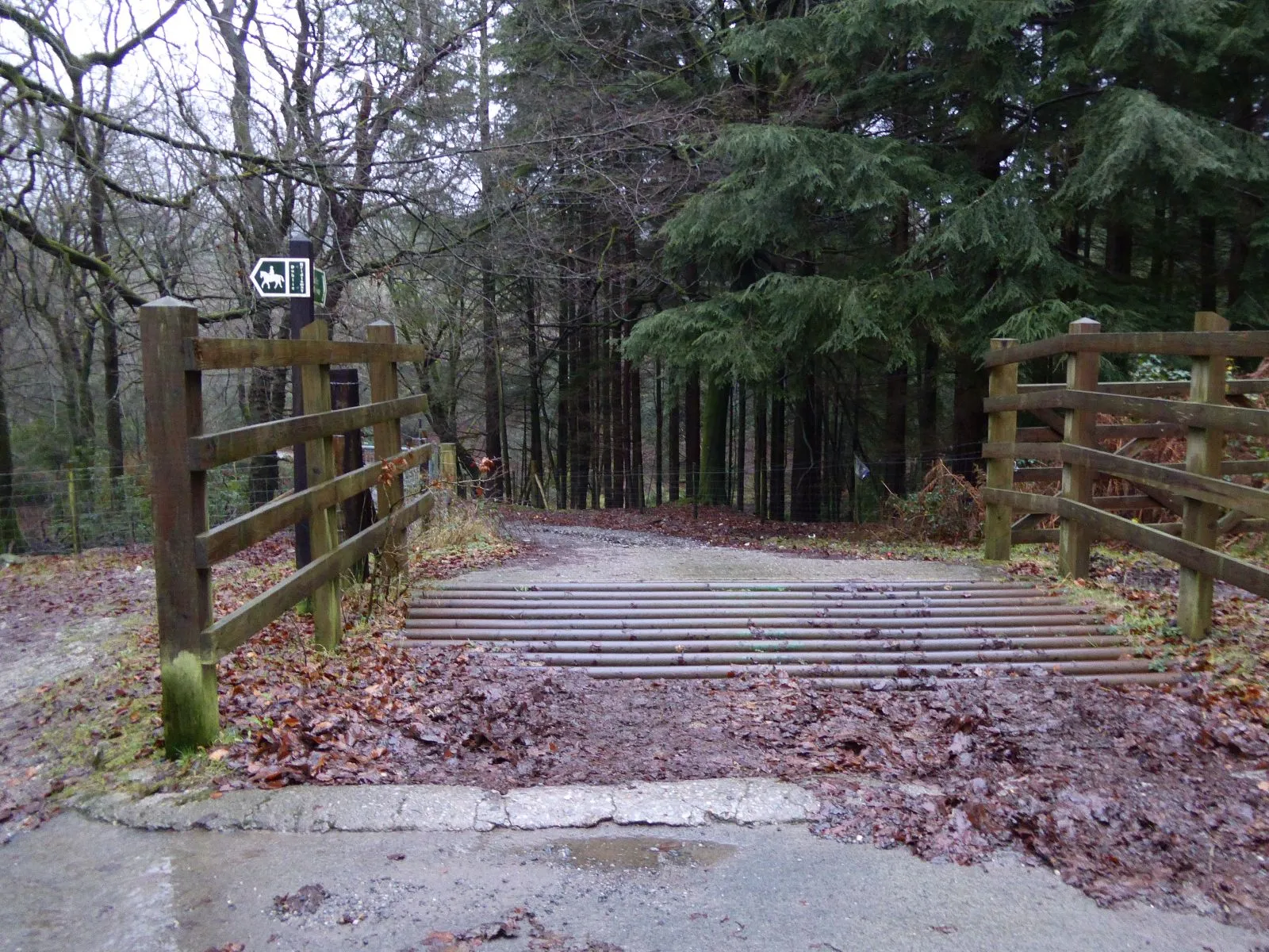 Photo showing: Access into Newpark Wood