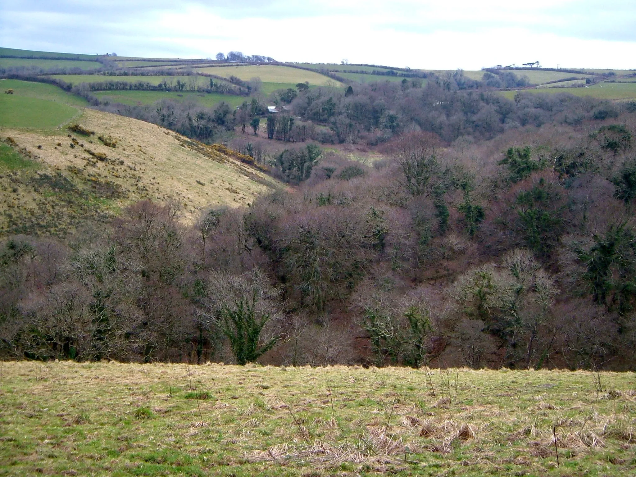 Photo showing: Ashwell Brook valley