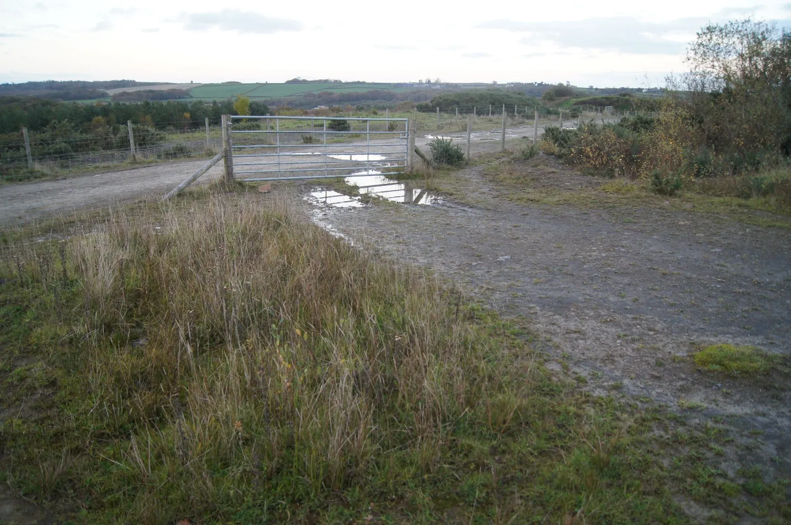 Photo showing: Access to Woolladon Clay Pit