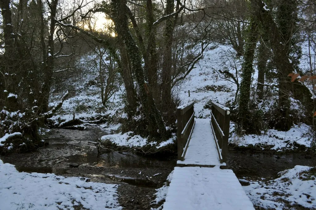 Photo showing: A footbridge over Colam Stream near Upcott Farm