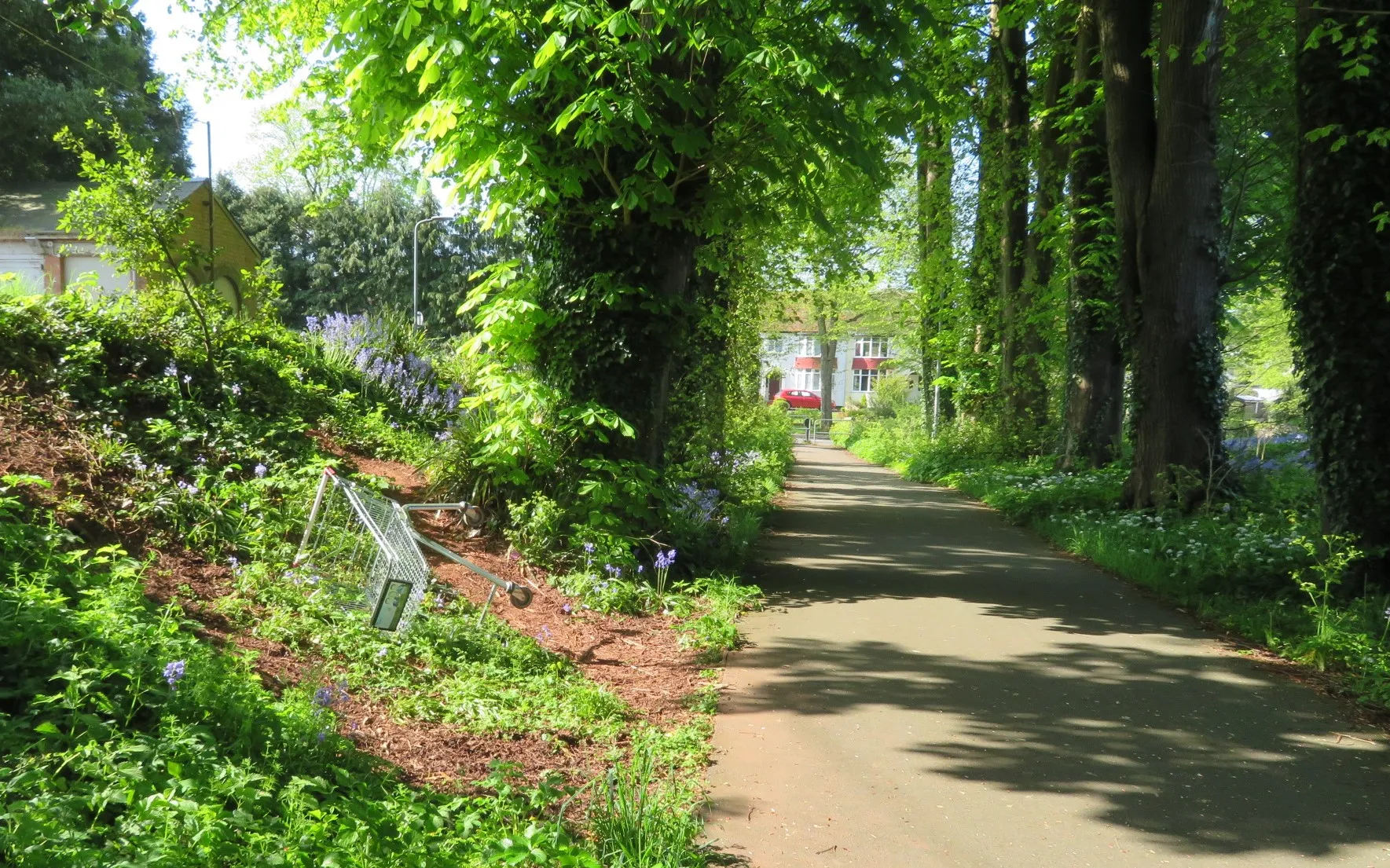 Photo showing: An abandoned shopping trolley