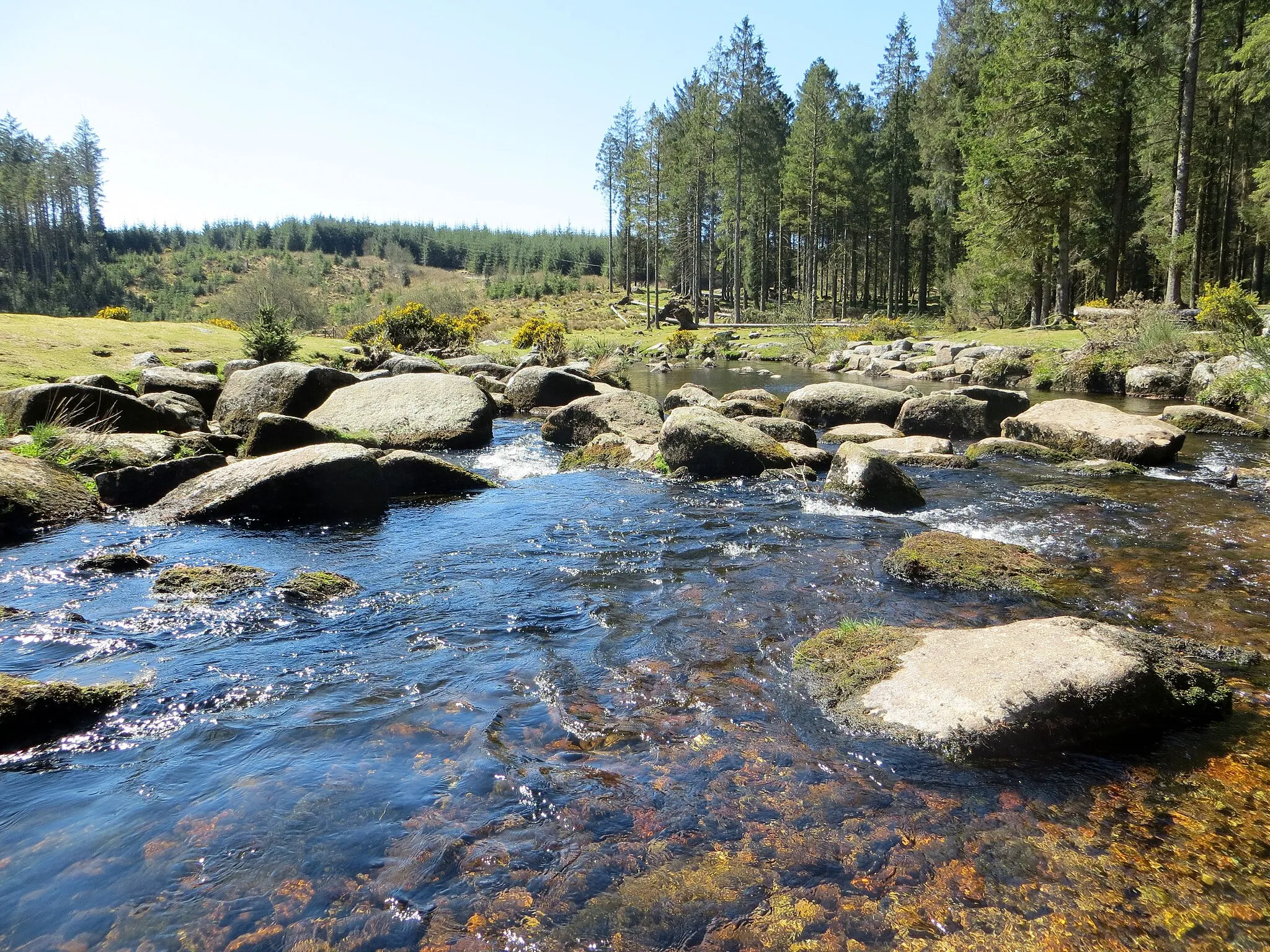 Photo showing: Clear waters at Bellever Forest - April 2015