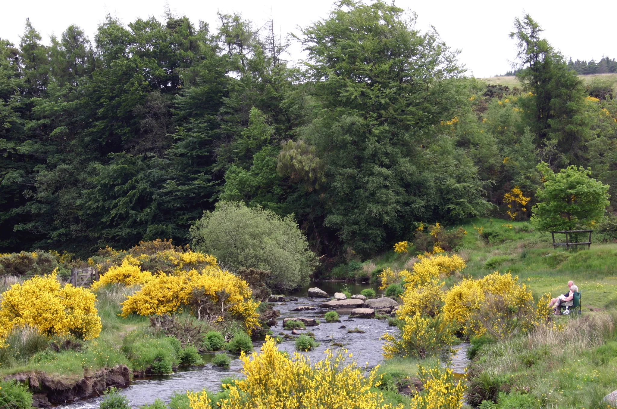 Photo showing: Dartmoor