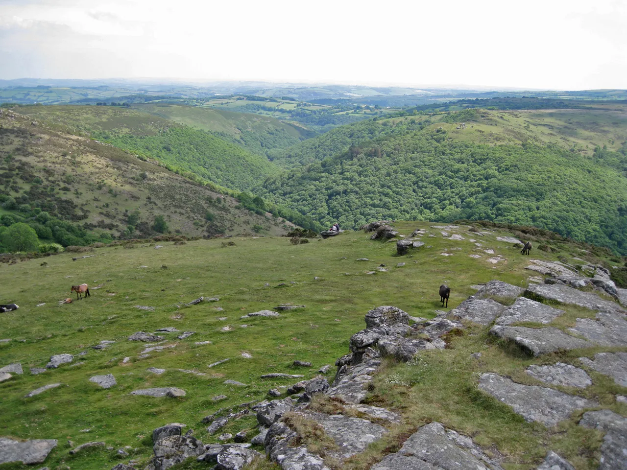 Photo showing: South west from Sharp Tor