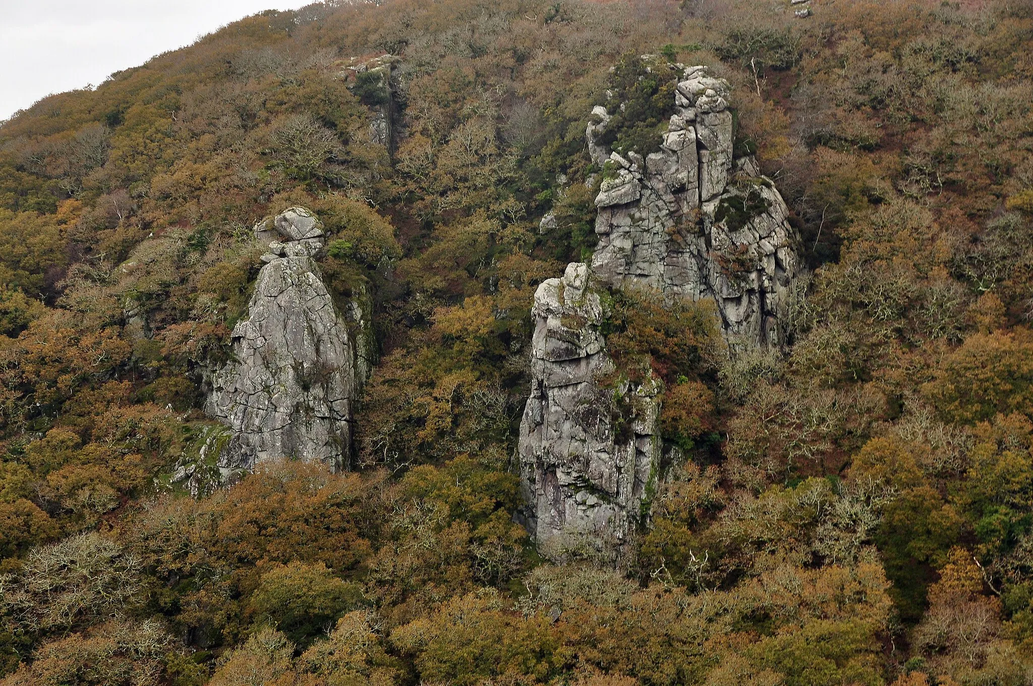 Photo showing: Dewerstone rocks, in the Plym Valley near Shaugh Prior on Dartmoor.