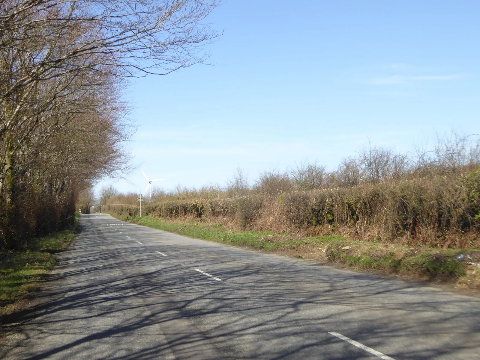 Photo showing: A3079 north-west of Northcombe Plantation