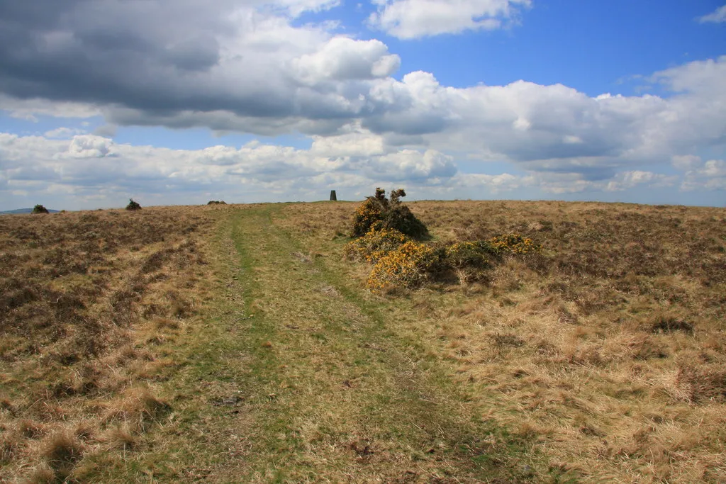 Photo showing: Gibbet Hill