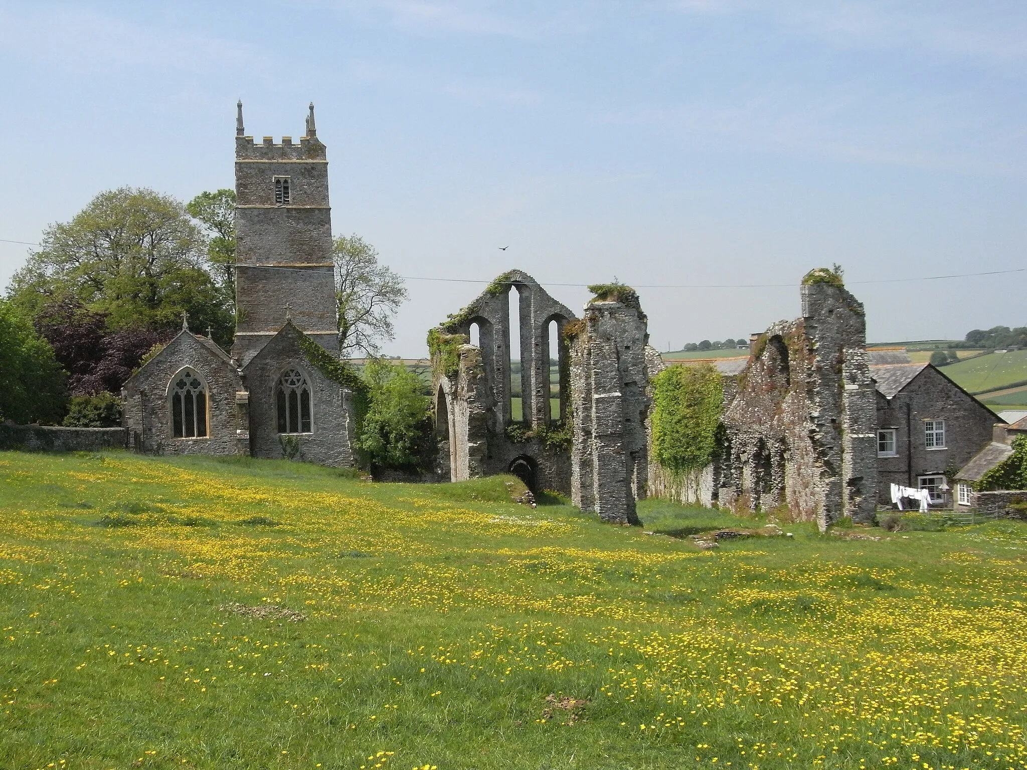 Photo showing: Ruins of Frithelstock Priory, Devon, looking west. On the left is the parish church, on the right the rectory.