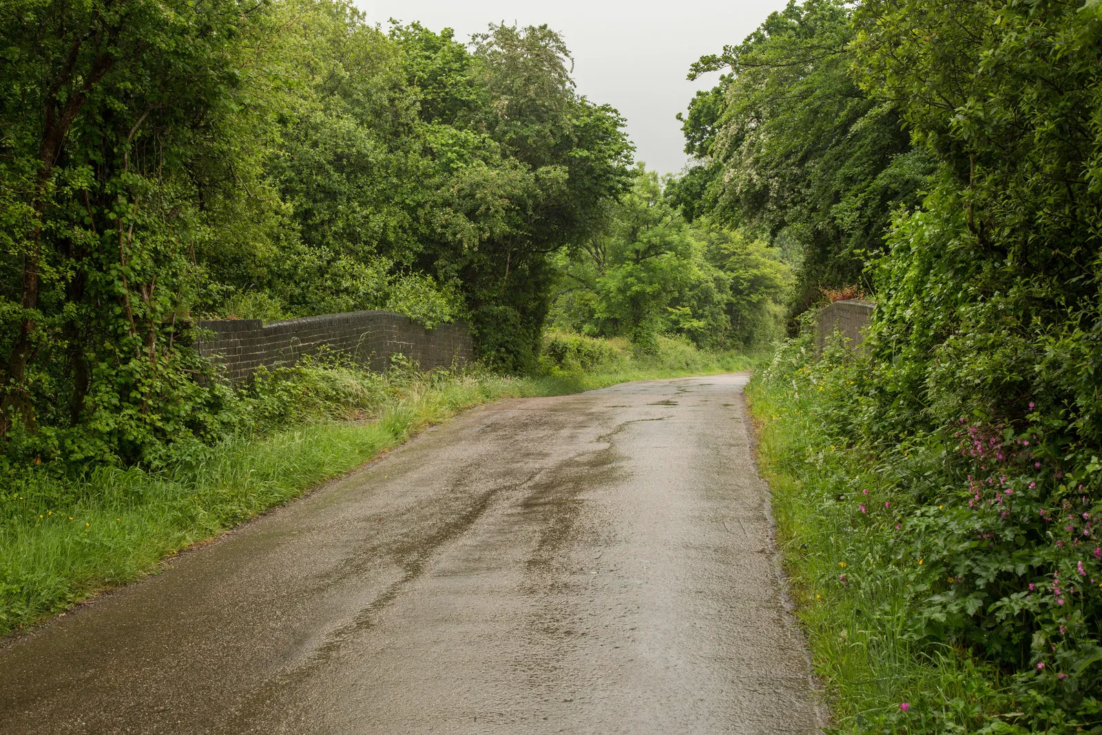 Photo showing: Bude Branch Railway bridge