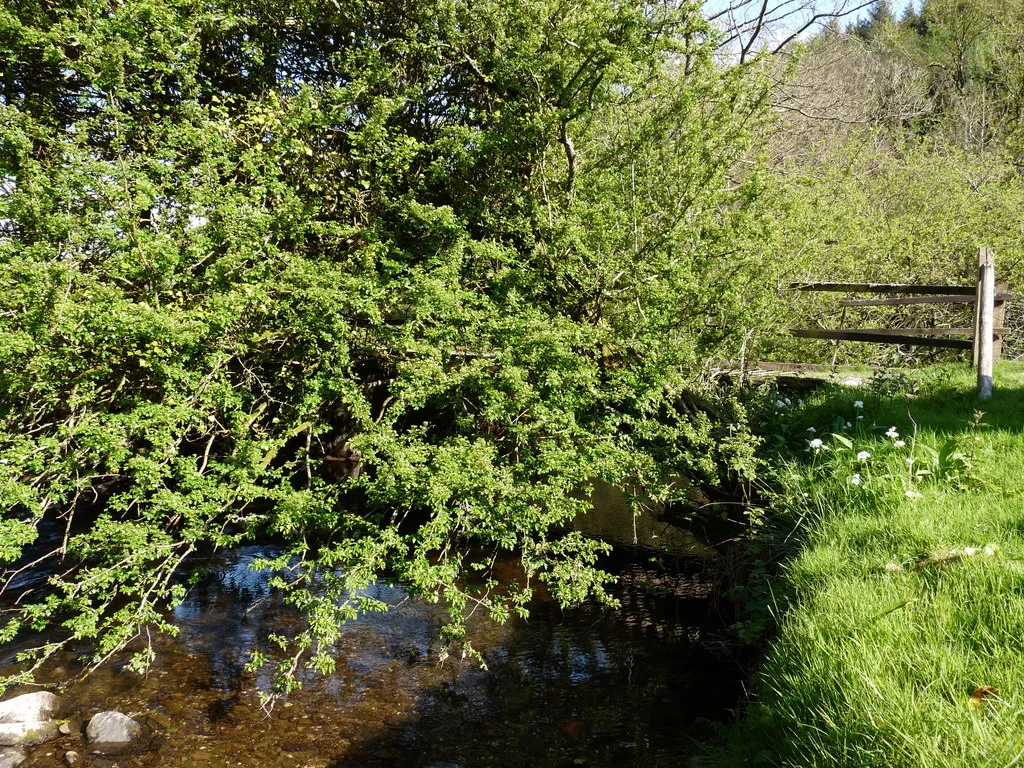 Photo showing: A Bridge on the River Yeo which leads to New Mills as seen from downstream