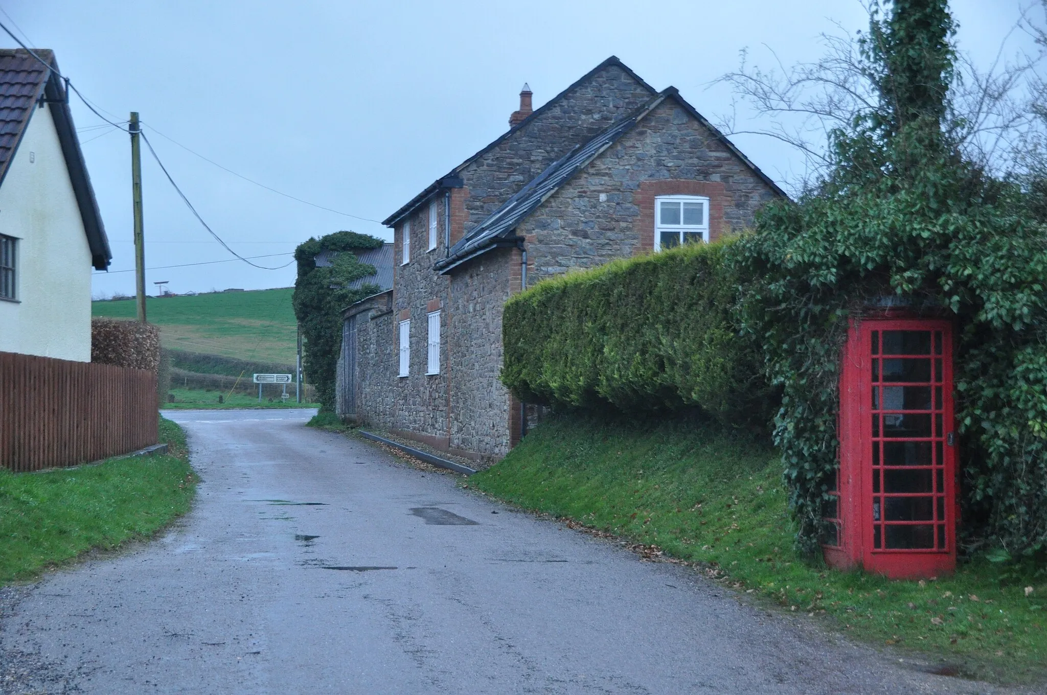 Photo showing: Petton : Country Lane