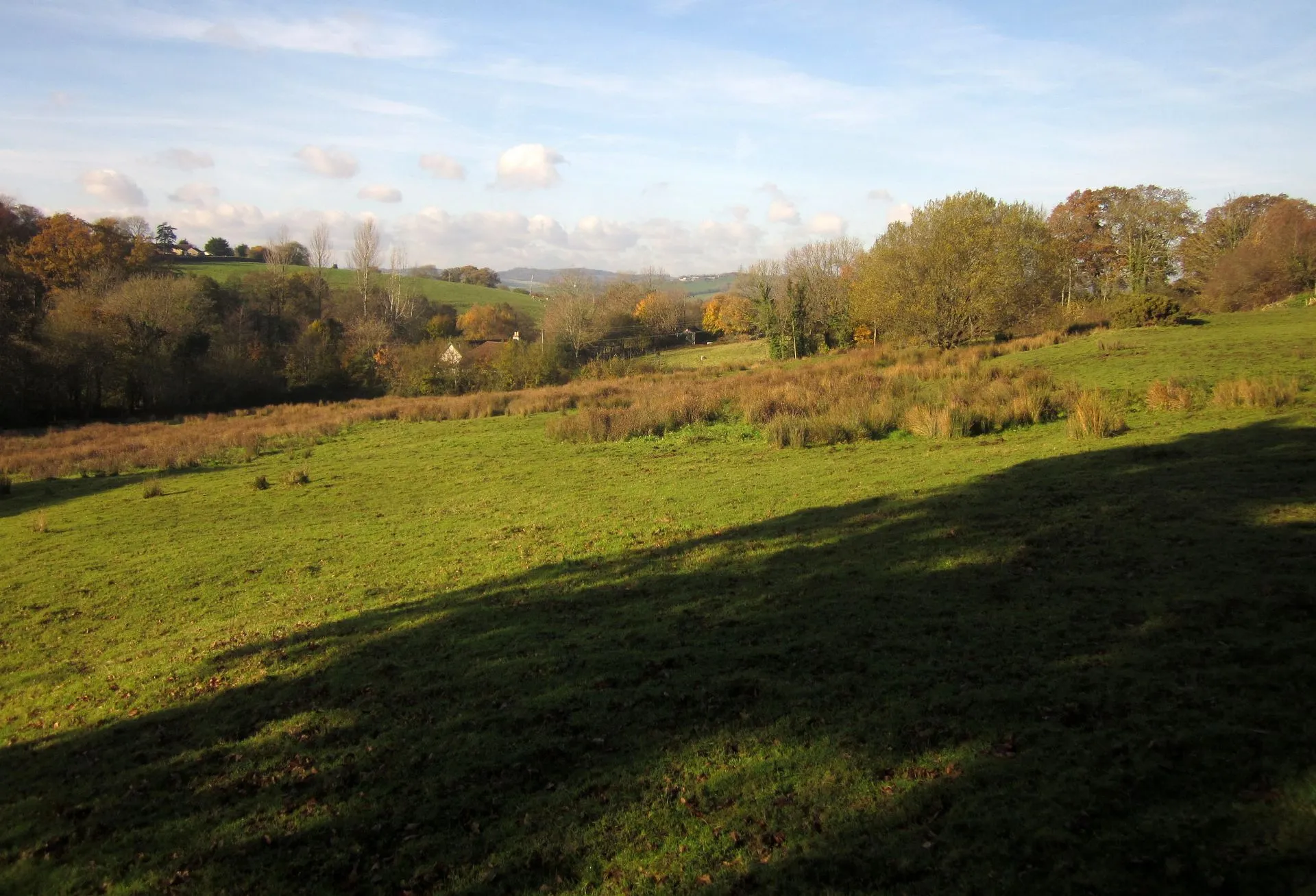 Photo showing: Field at Sector