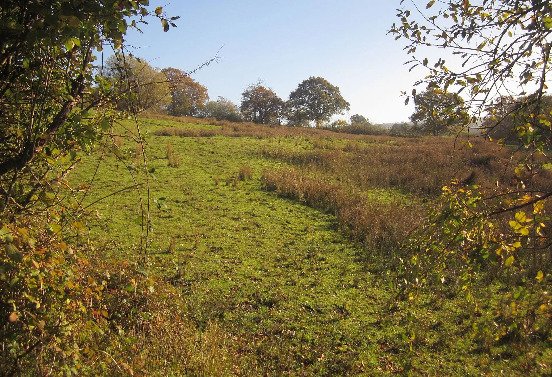 Photo showing: Field at Sector