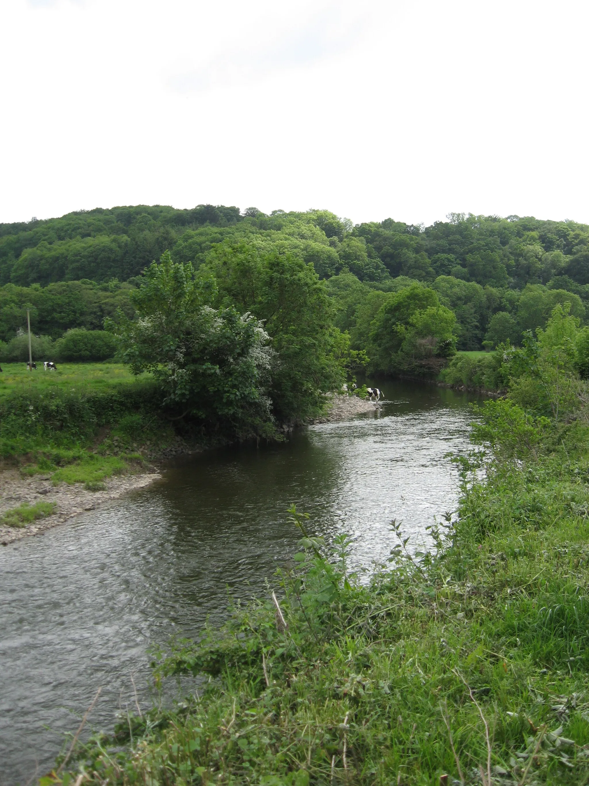 Photo showing: River Torridge at Weare Giffard