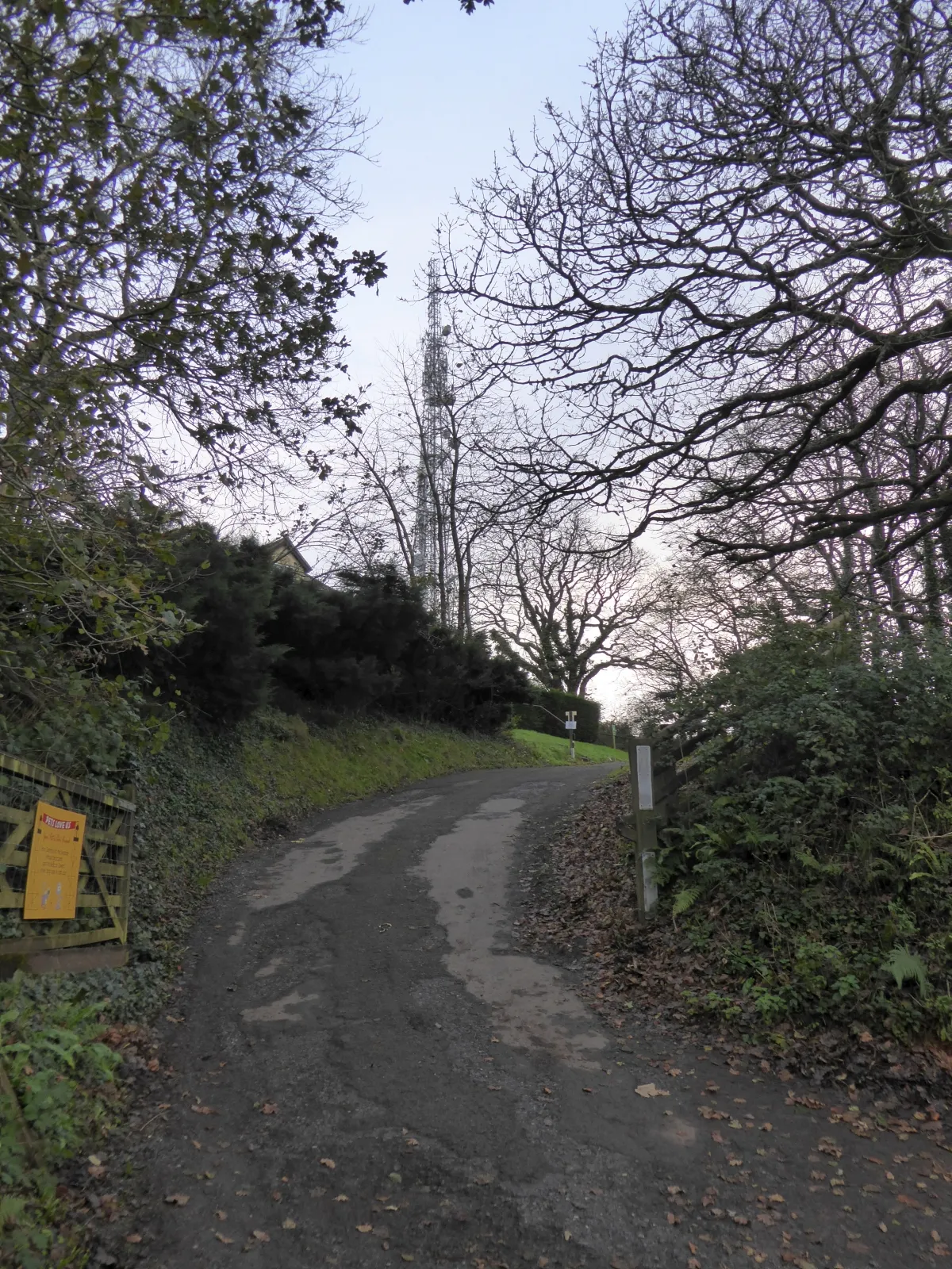 Photo showing: Drive to kennels on Beacon Hill, and communications mast