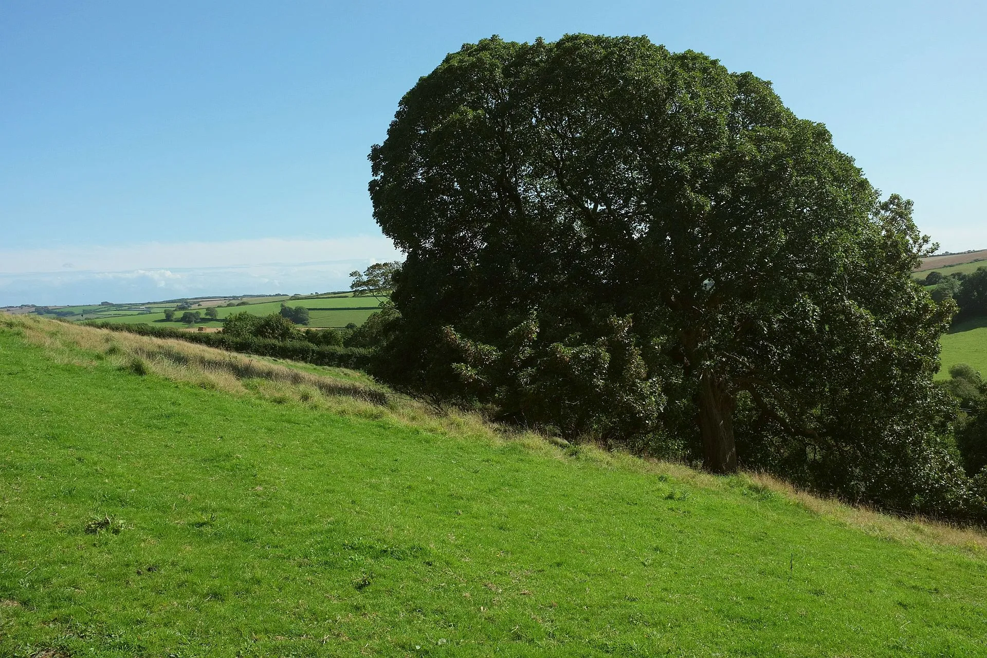 Photo showing: Above Boarshill