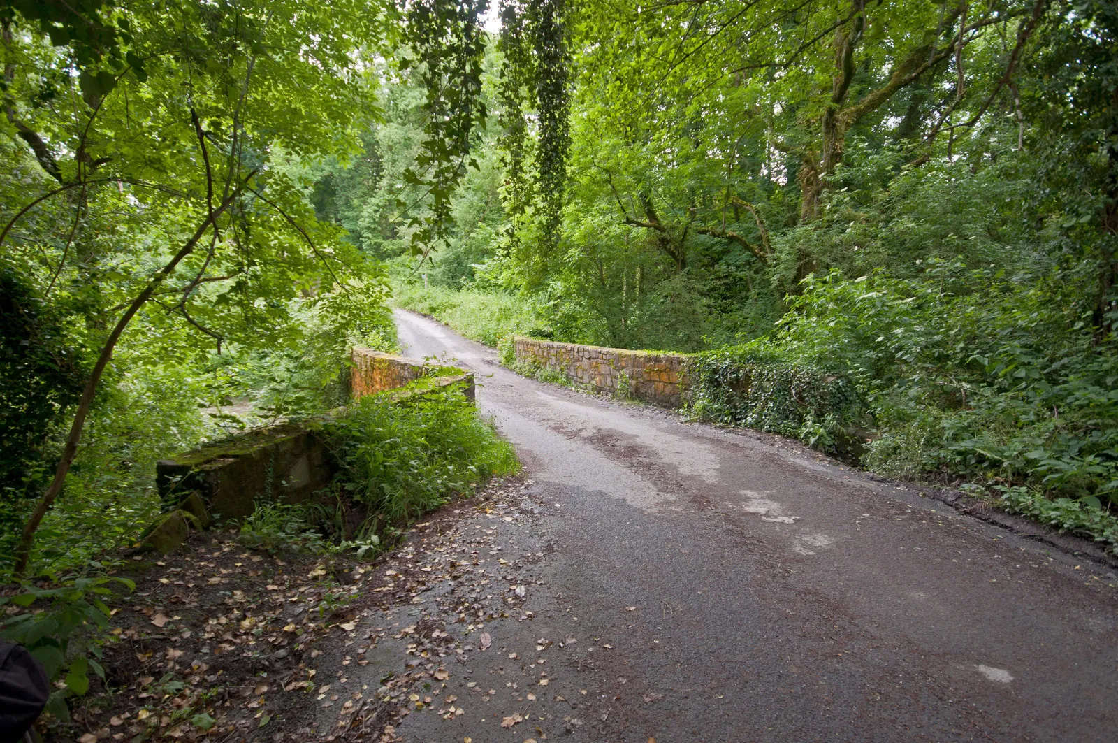 Photo showing: A Bridge Over Venn Stream Between Higher & Lower Venn