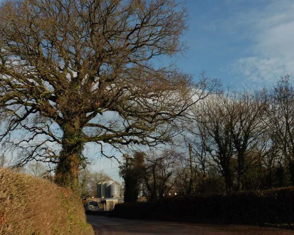 Photo showing: Approaching Knowle Poultry Farm