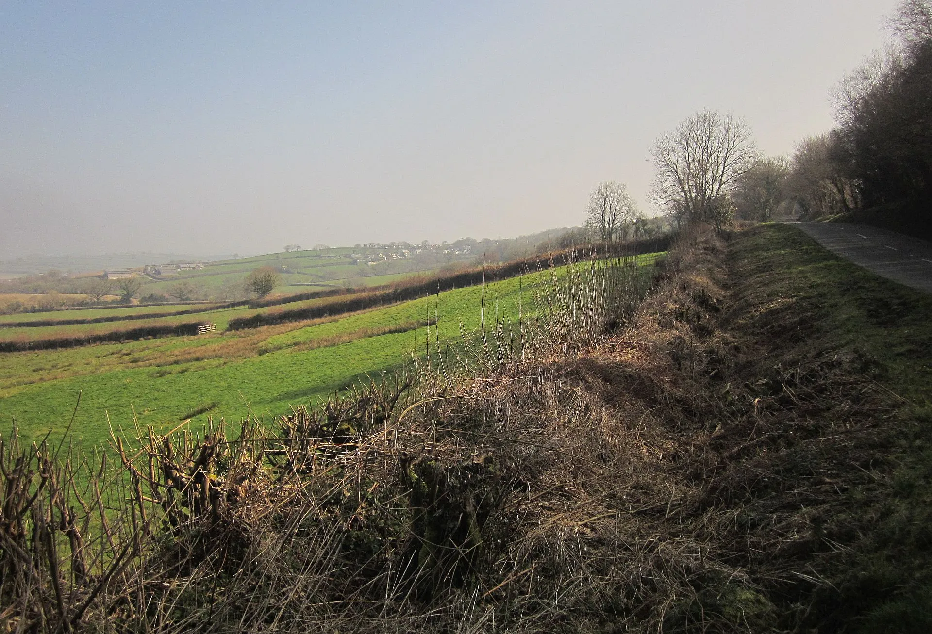 Photo showing: By the road to Launceston