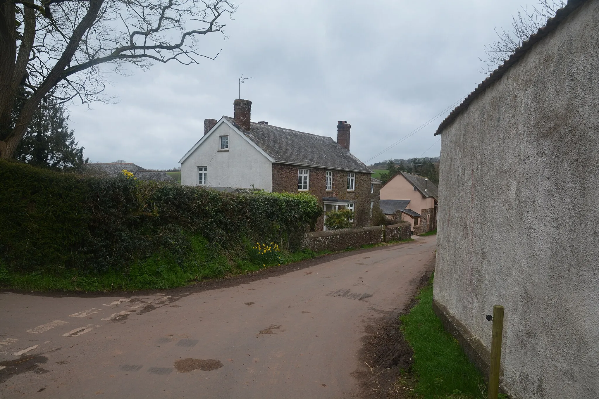 Photo showing: Stockleigh Pomeroy : Road
