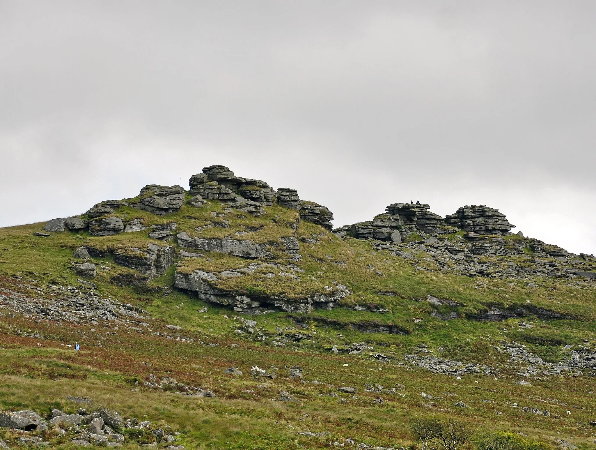 Photo showing: Black Tor, in the West Okement valley below High Willhays in north Dartmoor.