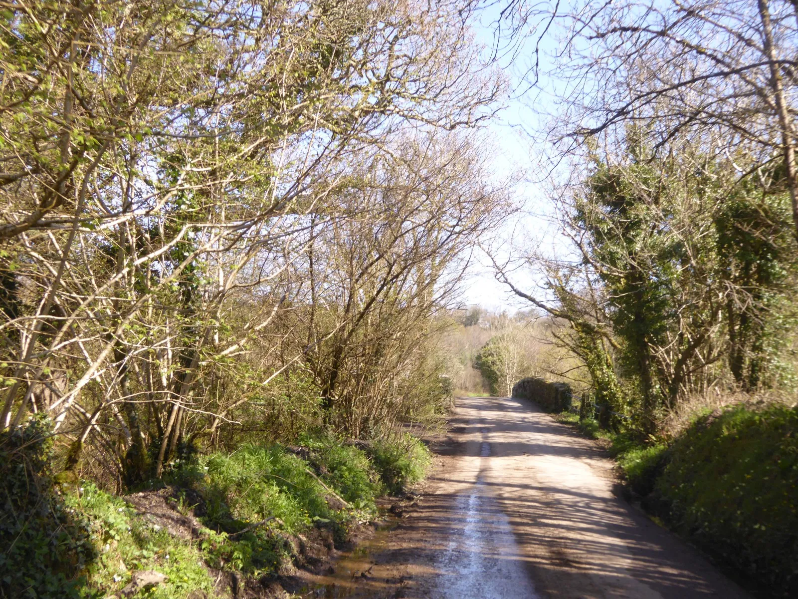 Photo showing: Bridge over River Inny at Trewen Mill